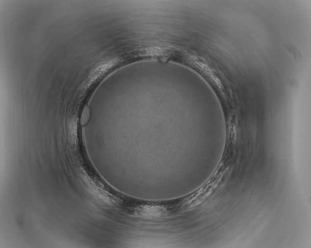 X0000112900154200908211524