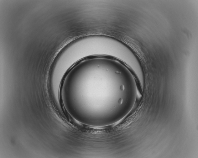 X0000112900156200908211524