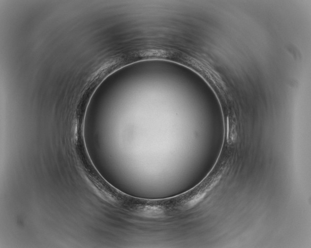 X0000112900157200908211524