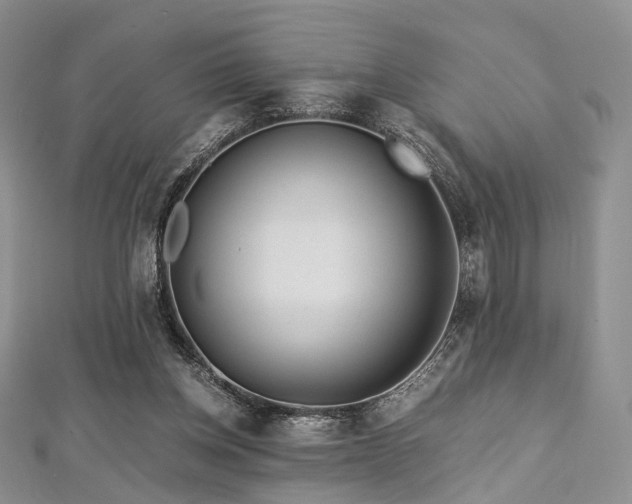 X0000112900158200908211524