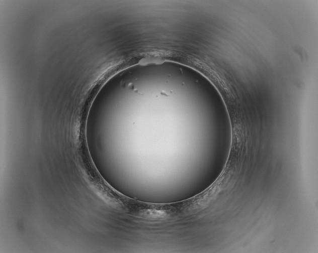 X0000112900159200908211524