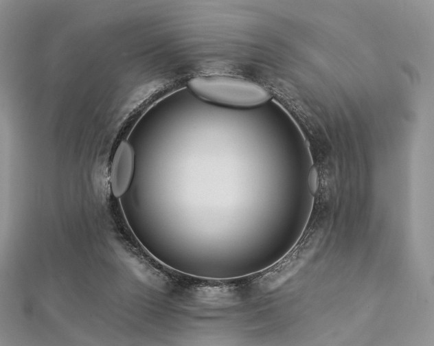 X0000112900160200908211524