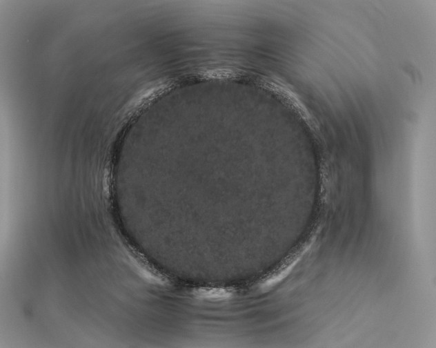 X0000112900161200908211524