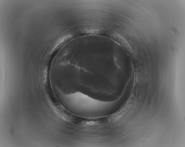 X0000112900163200908211524