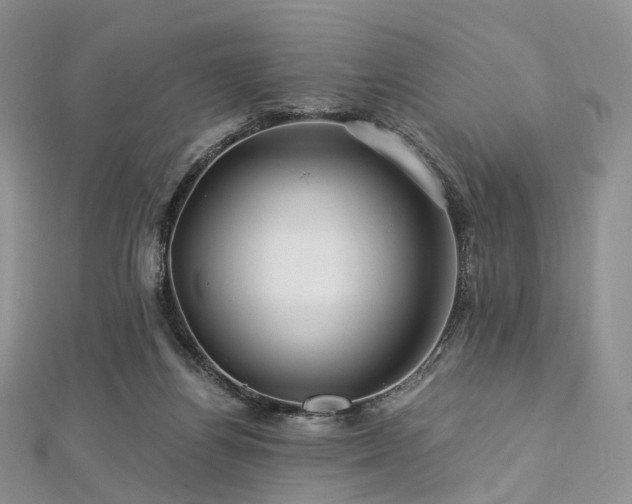 X0000112900164200908211524