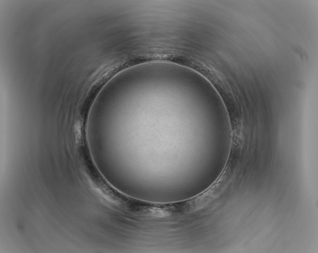 X0000112900166200908211524