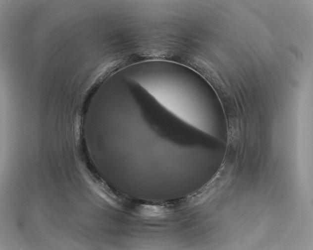 X0000112900167200908211524