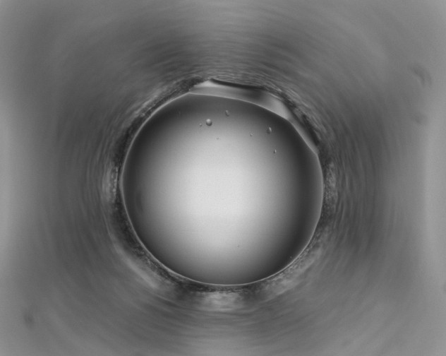 X0000112900168200908211524