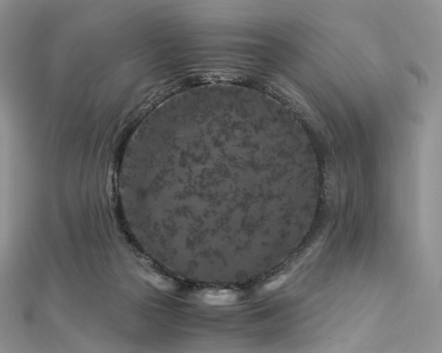 X0000112900169200908211524