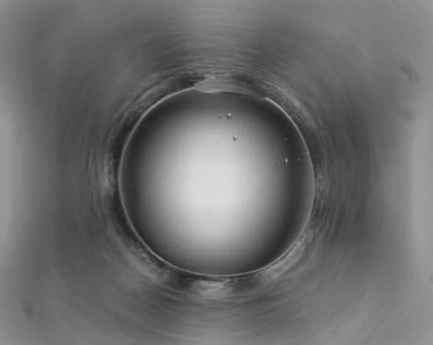 X0000112900170200908211524