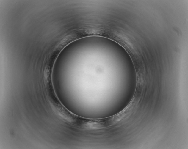 X0000112900171200908211524