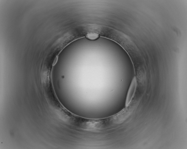 X0000112900172200908211524