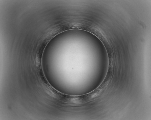 X0000112900173200908211524