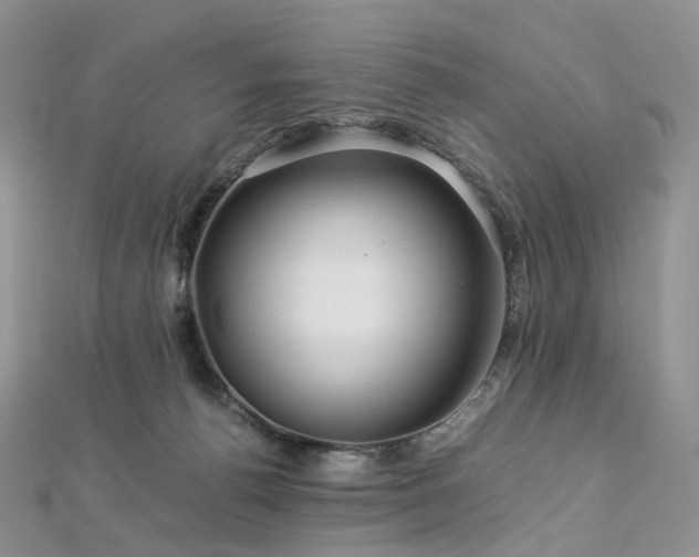 X0000112900176200908211524