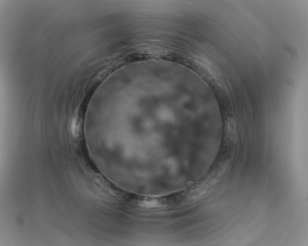 X0000112900177200908211524