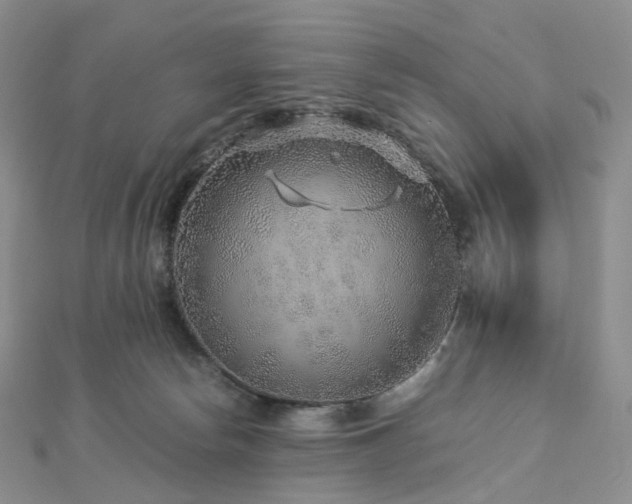 X0000112900178200908211524