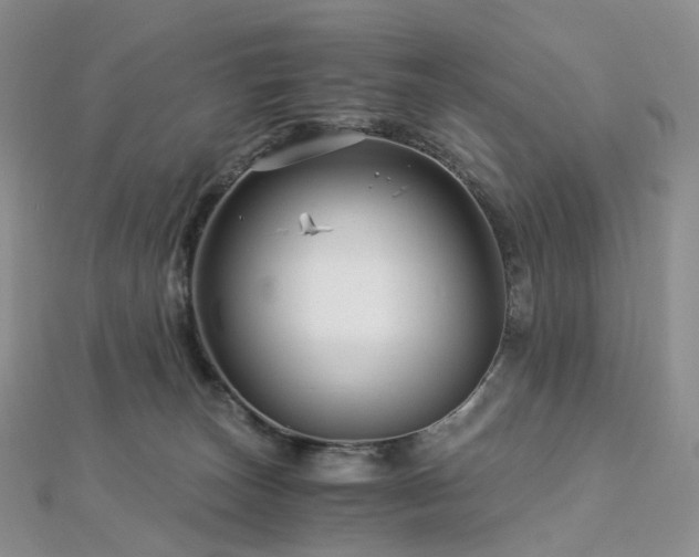 X0000112900179200908211525