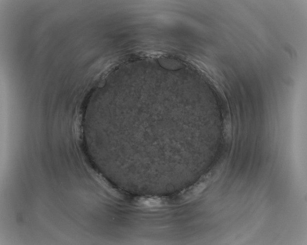 X0000112900181200908211525