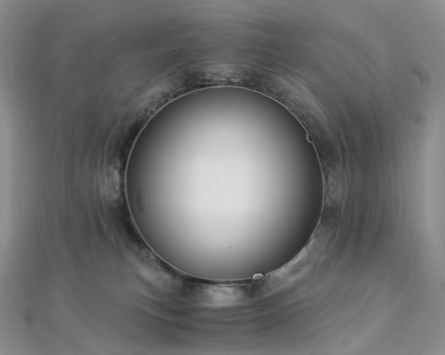 X0000112900183200908211525