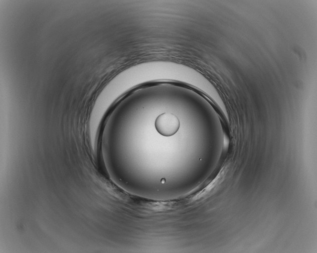 X0000112900184200908211525