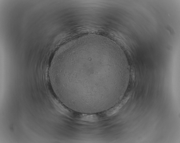 X0000112900185200908211525