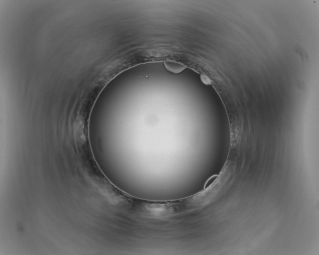 X0000112900187200908211525