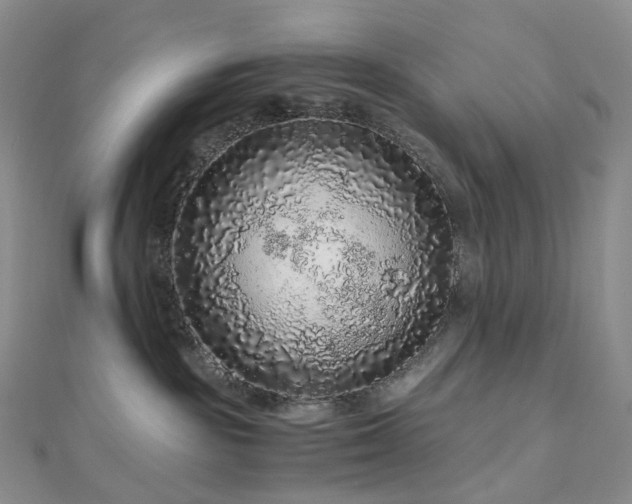 X0000112900189200908211525