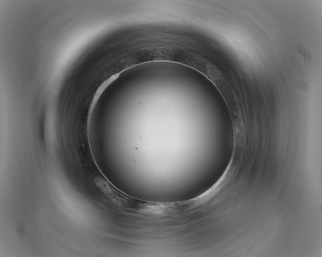 X0000112900190200908211525