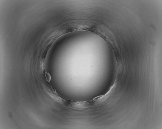 X0000112900191200908211525