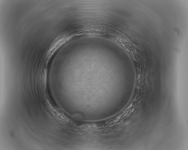 X0000112900194200908211524