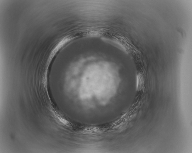 X0000112900195200908211524