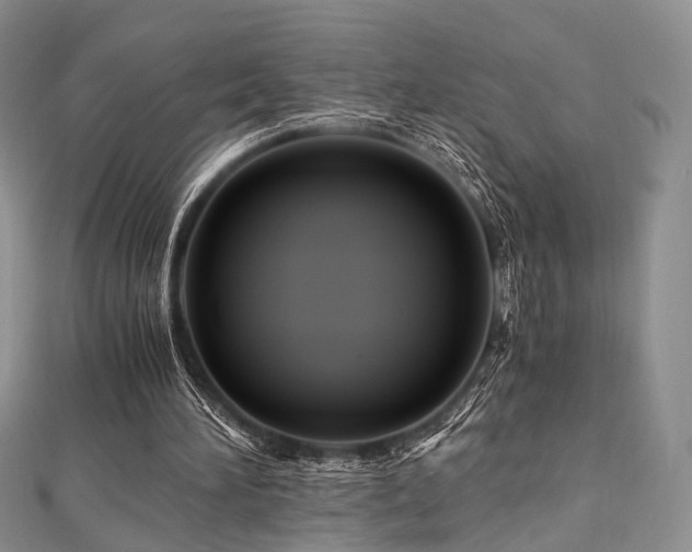 X0000112900196200908211524