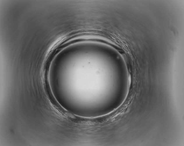 X0000112900197200908211524