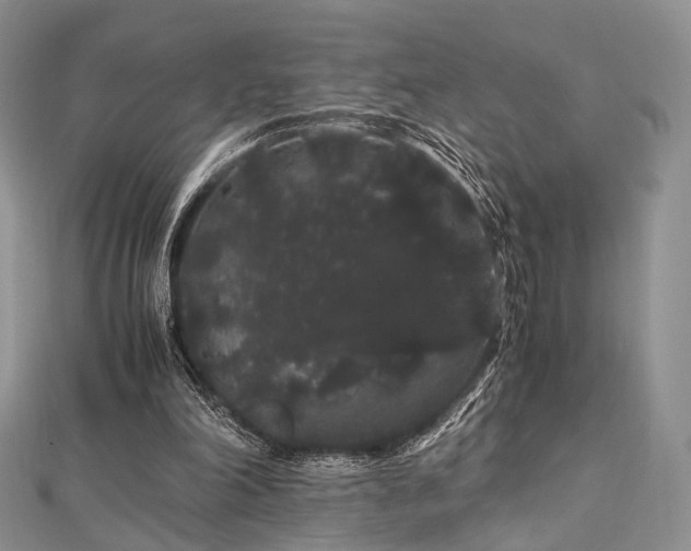 X0000112900198200908211524