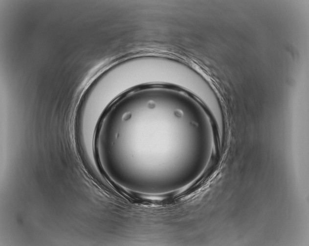 X0000112900199200908211524