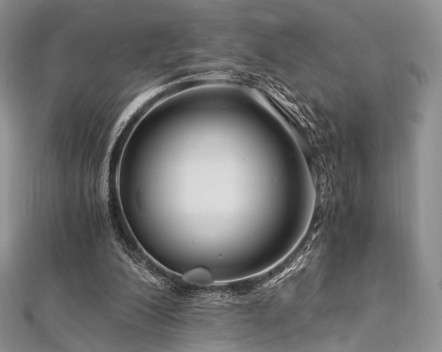 X0000112900200200908211524