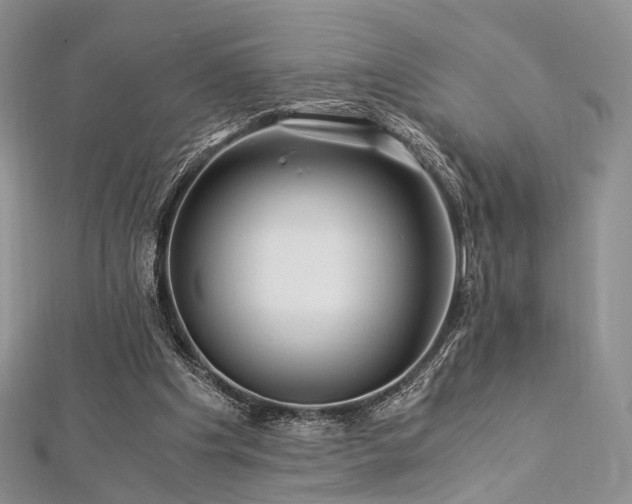 X0000112900201200908211524