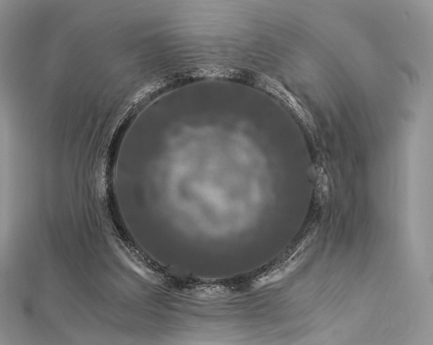 X0000112900203200908211524