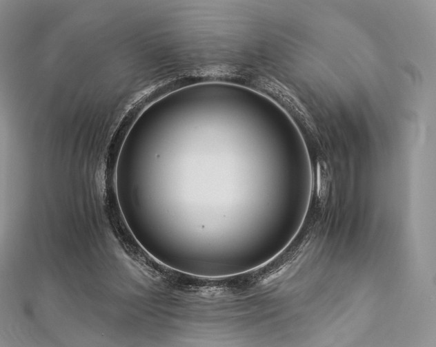 X0000112900204200908211524