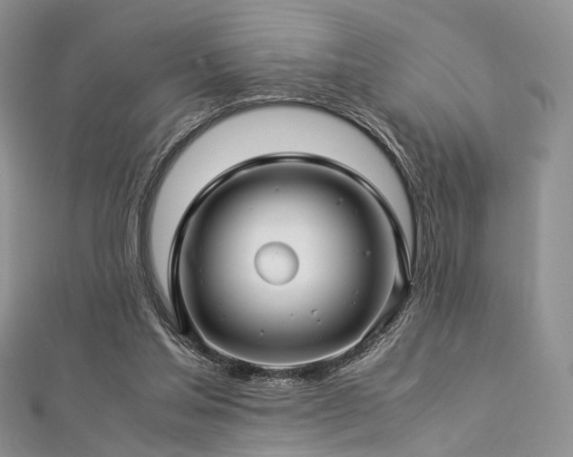 X0000112900205200908211524