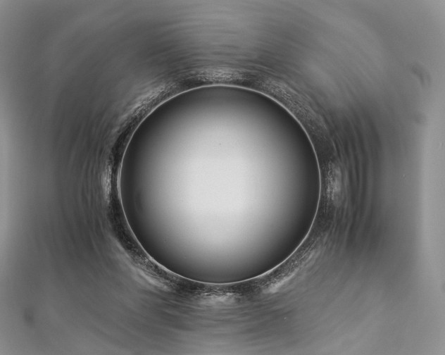 X0000112900206200908211524