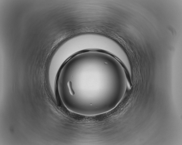 X0000112900207200908211524