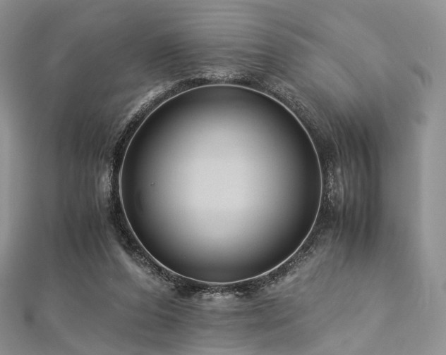 X0000112900208200908211524