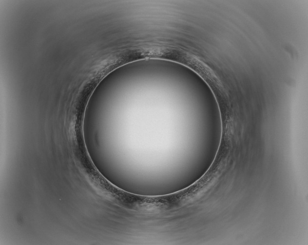 X0000112900209200908211524