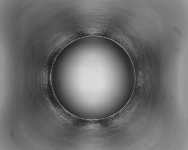 X0000112900210200908211524