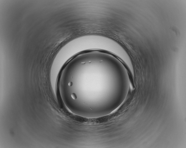 X0000112900211200908211524