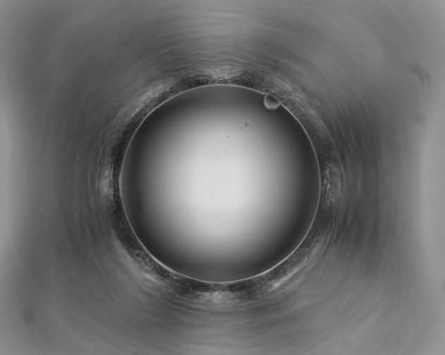 X0000112900212200908211524