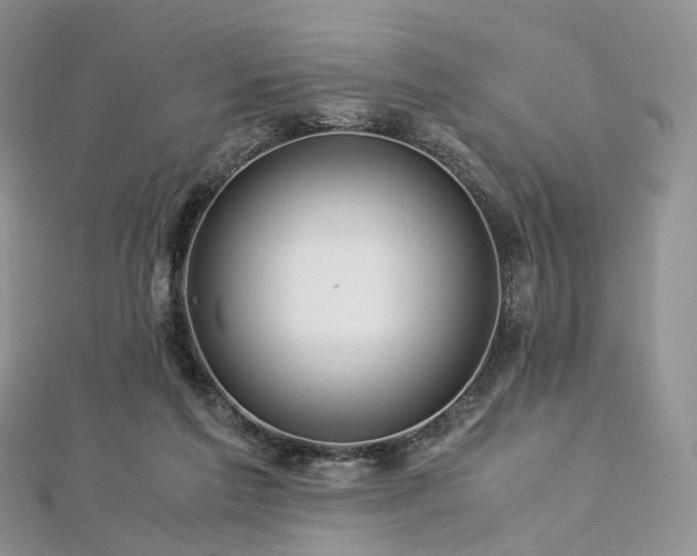 X0000112900213200908211524