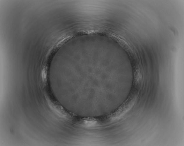 X0000112900214200908211524