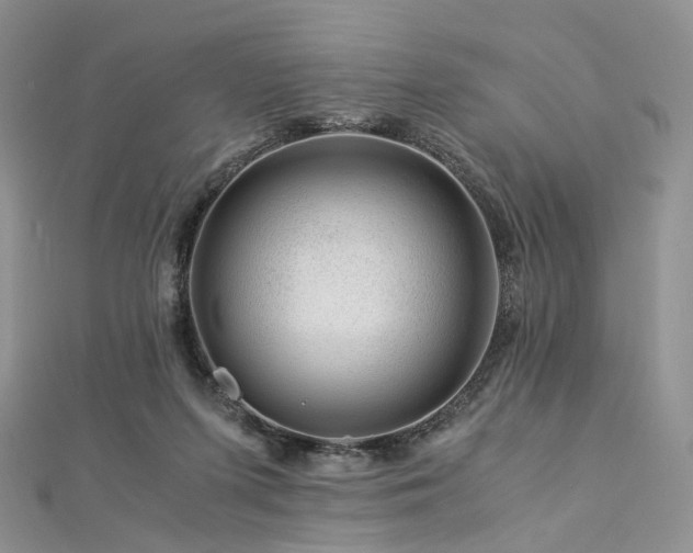 X0000112900215200908211524